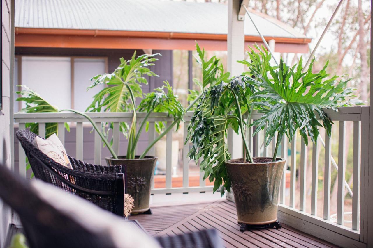 Snooty Fox Bed &Breakfast Bed and Breakfast Hazelbrook Esterno foto